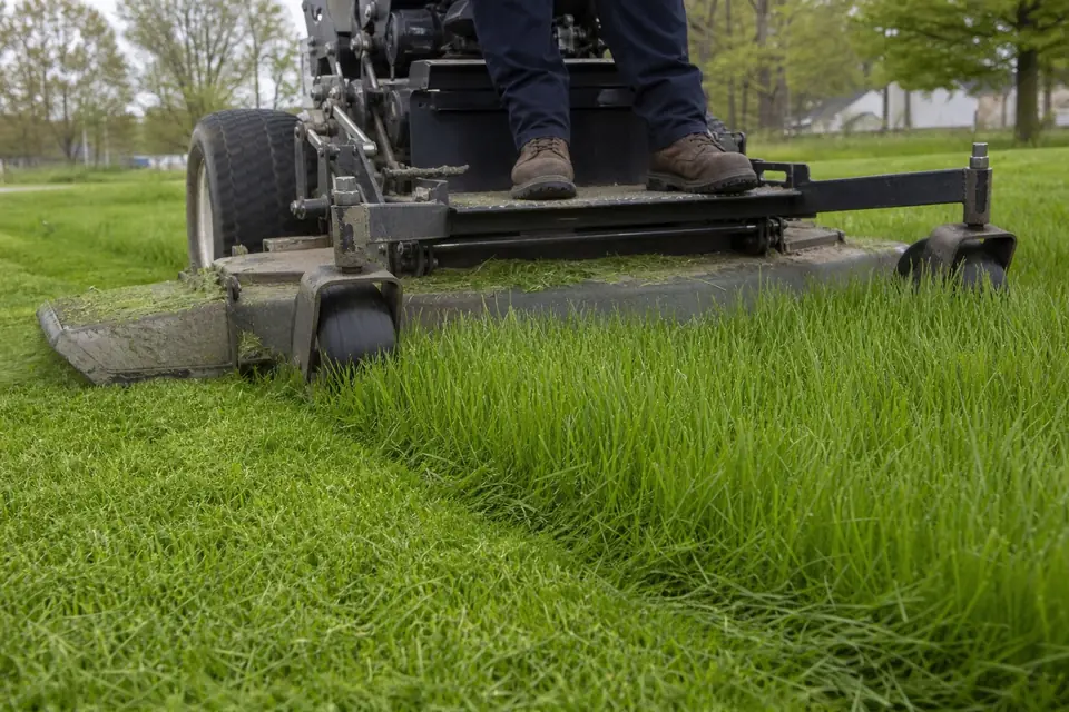 Commercial mower cutting tall grass beside a freshly cut strip