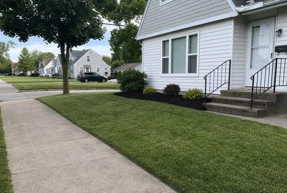 Freshly kept small front yard on a side street near a busy avenue